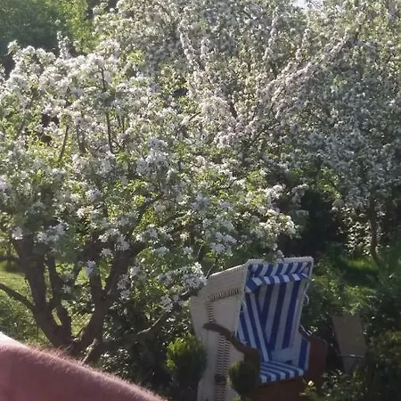 Neuer Ring 8 Bastorf